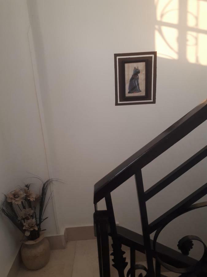 Angel Eyes House Daire Luksor Dış mekan fotoğraf